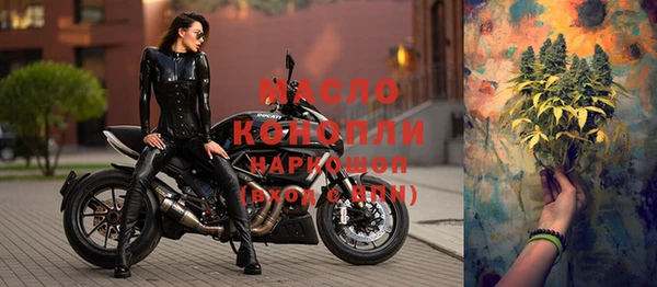 эйфоретик Елизово
