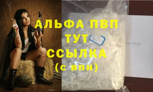 эйфоретик Елизово