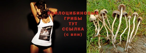 марки lsd Ельня