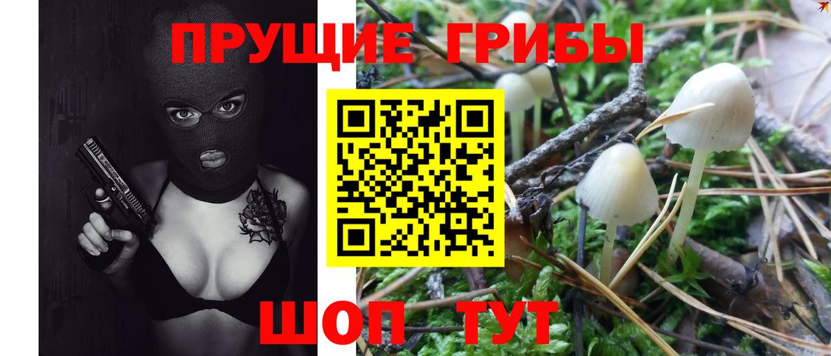 Галлюциногенные грибы Magic Shrooms  Вход с VPN  что такое   Рассказово 
